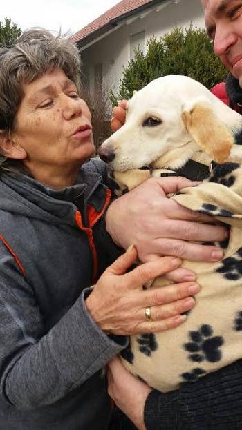 Wida verabschiedet sich. Wieder ein Hund in Not mit einem neuen Zuhause.