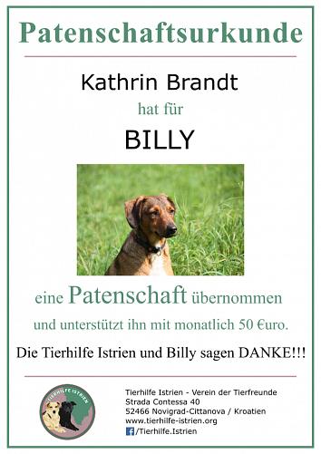 Patenschaftsurkunde - Tierhilfe Istrien