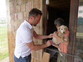 Unser Tierarzt bei der Arbeit